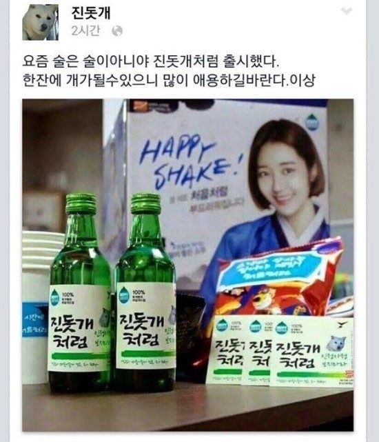 진돗개 페이스북 | 인스티즈
