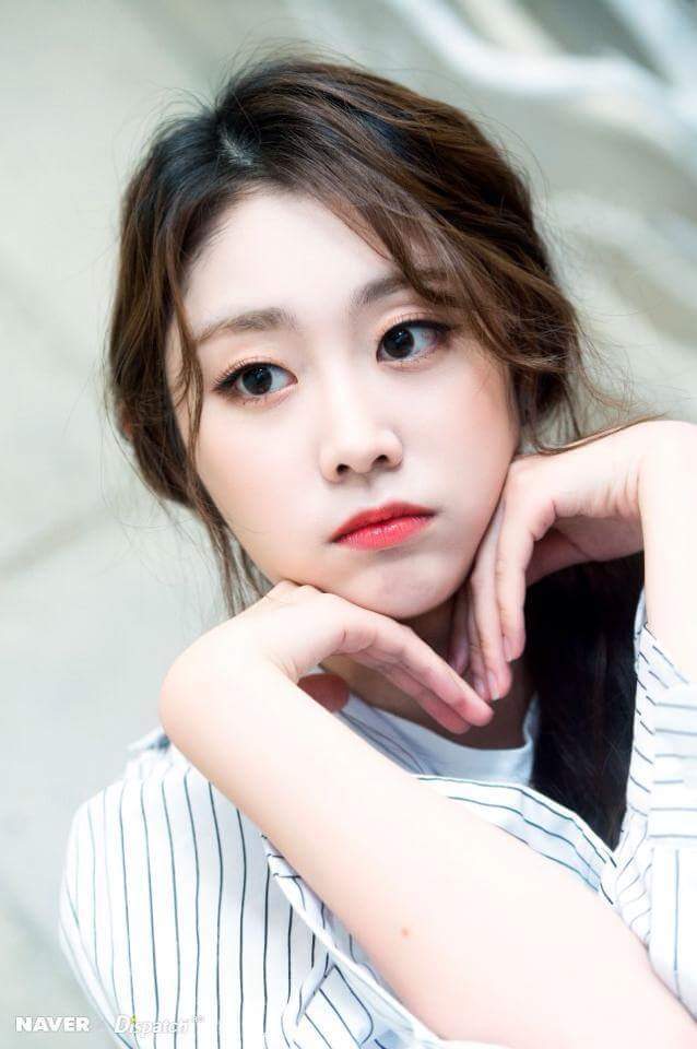 [러블리즈] 고양이들이 더위먹어서 러블리즈 | 인스티즈