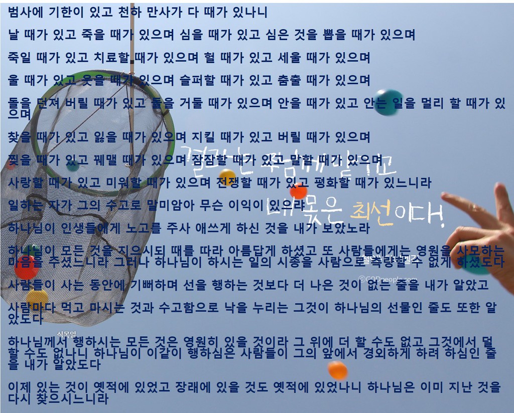 중앙특송(주) 이미지