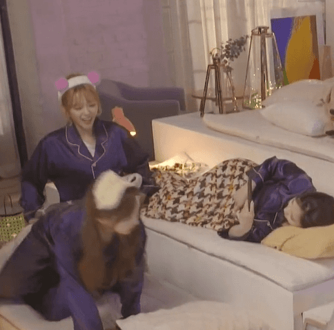 트와이스 정연이는 남자일지도 몰라 | 인스티즈