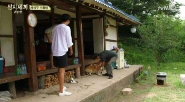 집에서 반려견이 안보일때 찾는법 | 인스티즈