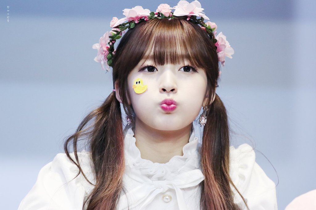 [오마이걸] 하루 한번 랜덤짤 | 인스티즈