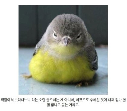 제목학원 레전드 모음 (귀여운것들 섞여잇음) | 인스티즈