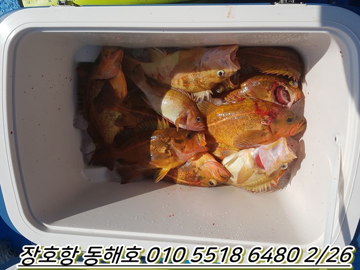 동해호 이미지
