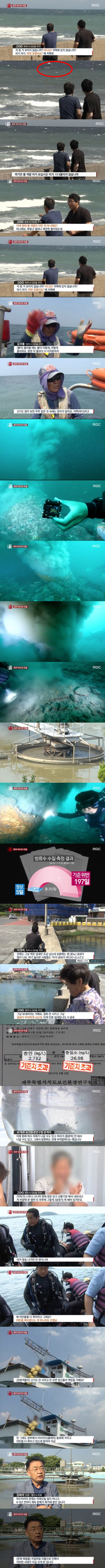 제주 바다의 비밀.jpg | 인스티즈