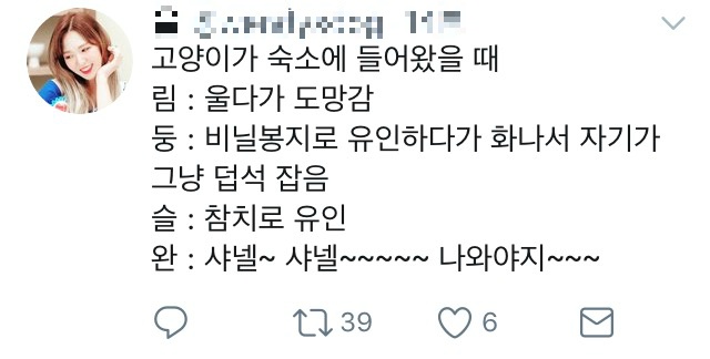 [레드벨벳] 조이 생파에 공개된 시트콤 같은 숙소에 고양이 난입한 일화ㅋ | 인스티즈