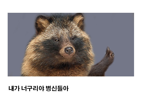 너구리 이미지