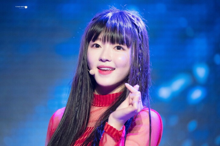 (주)크리투어 이미지