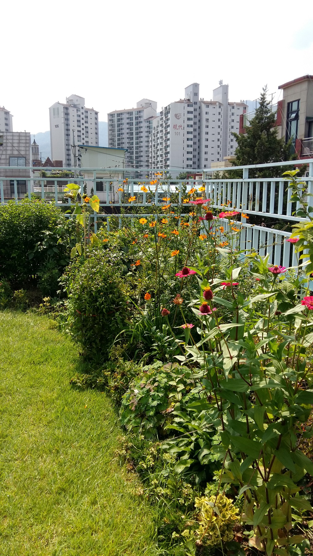 옥상정원 이미지