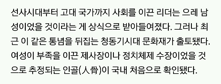 평창 청동기시대 무덤 속 비파형동검 주인은 20대 여성이었다 | 인스티즈