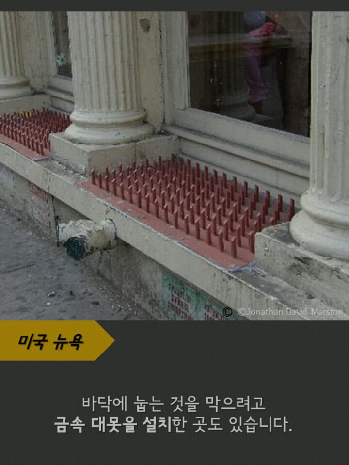 공원벤치 팔걸이가 있는 이유 | 인스티즈