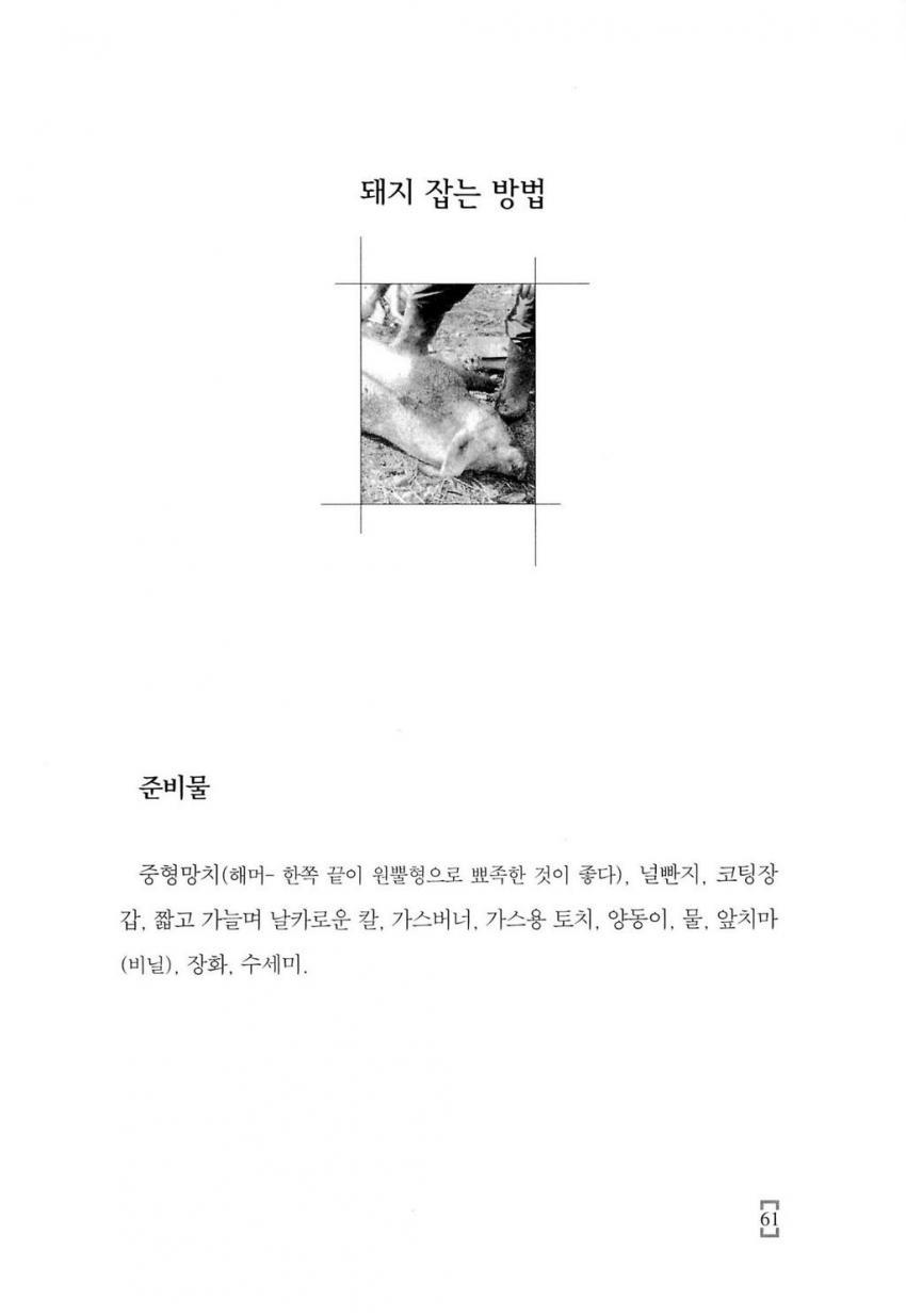 내 손으로 만드는 햄.소시지 베이컨 | 인스티즈