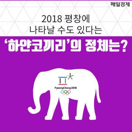 하얀코끼리 이미지