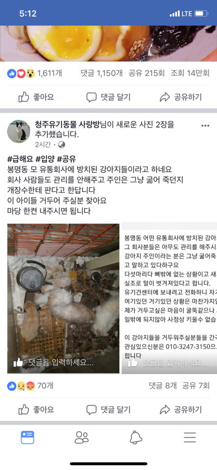 추운 한파속 죽어가는 가족 강아지들 (청주 봉명동) | 인스티즈