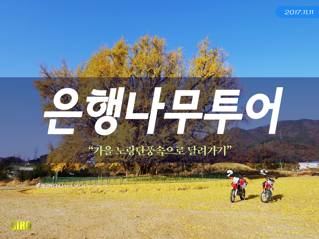 나무투어 이미지