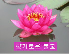 백우상회 이미지