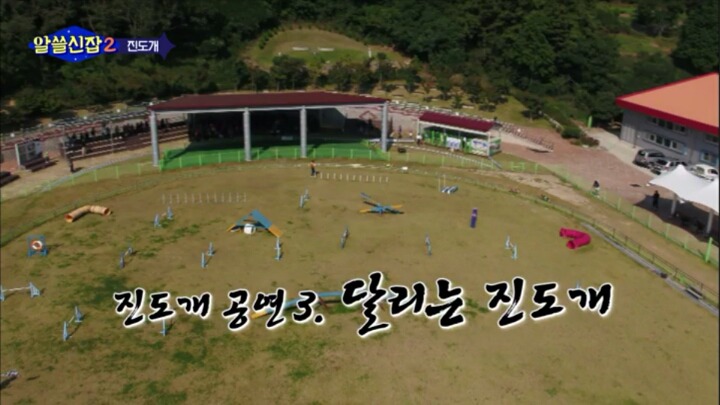 알쓸신잡) 진도의 관광지 + 진도를 유시민이 추천하는 이유 (댕댕이 주의) | 인스티즈