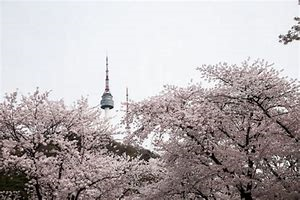 남산수산 이미지