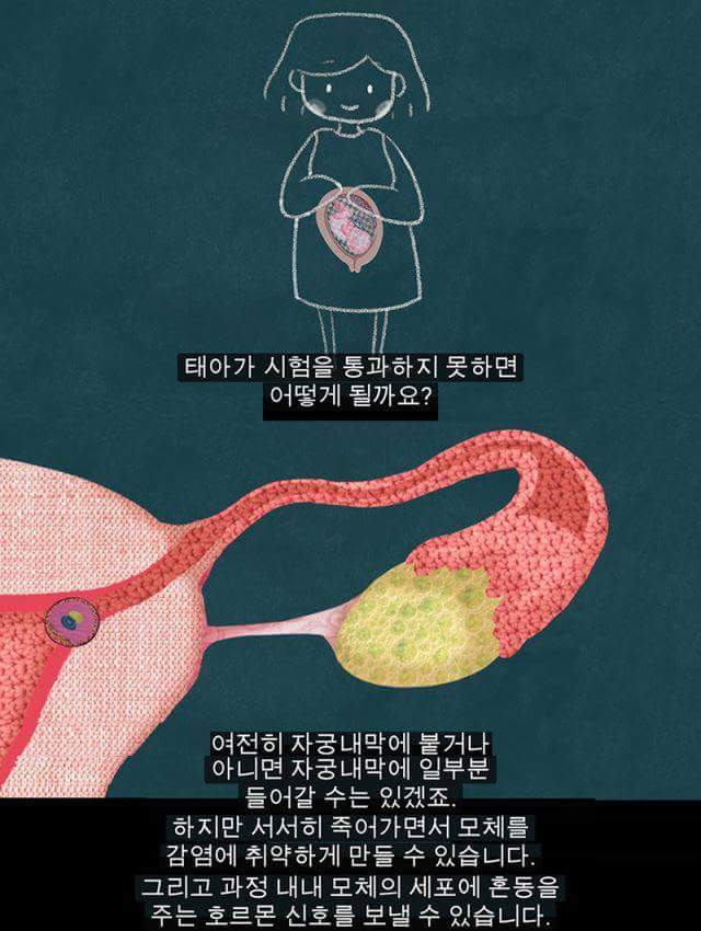 생리를 자궁이 임신을 기다리다가 임신을 하지 못해 실패한 것이라고 배우는 건 철저히 가부장적, 남성중심적 사고이다 | 인스티즈