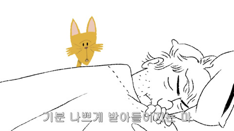 [동물] 고양이의 속마음 | 인스티즈