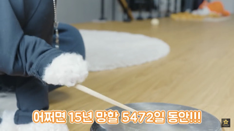 밥먹을때 강아지가 쳐다보는 이유 | 인스티즈