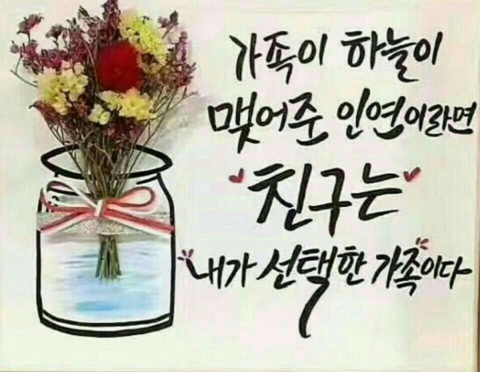 폴리체 이미지