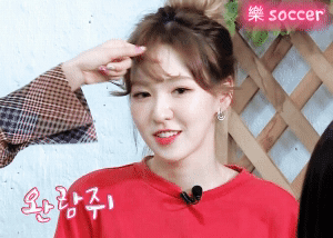 레드벨벳의 얼굴천재.jpgif | 인스티즈