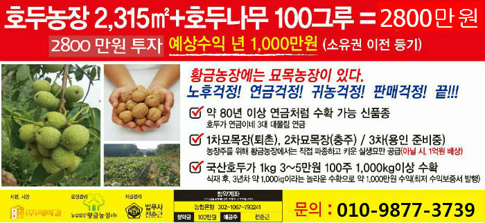 호두나무슈퍼 이미지