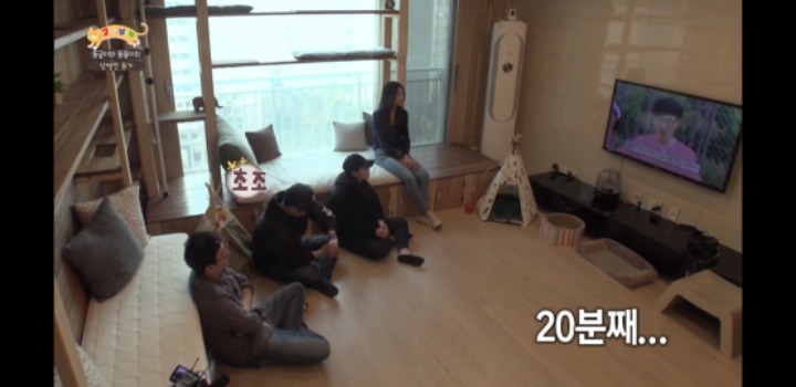 [고양이를부탁해] 세나개 강아지들과 고양이의 차이.jpg | 인스티즈