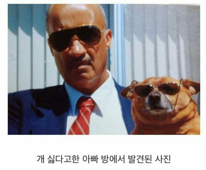 아빠 개 싫어한다 | 인스티즈