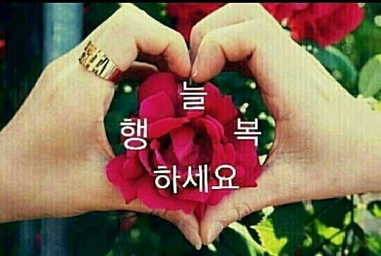 쉼터댄스카페 이미지