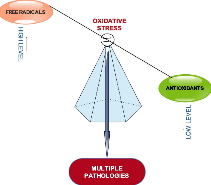 catalase glutathione peroxidase Antioxidant Enzyme Catalase May Help Treat COVID-19 | Medicine main image 1